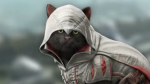 onionSearch