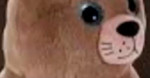 onionSearch