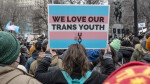 onionSearch