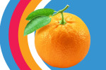 onionSearch