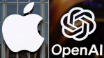 onionSearch